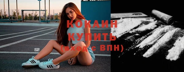 гидра Абаза