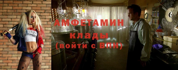 гидра Абаза