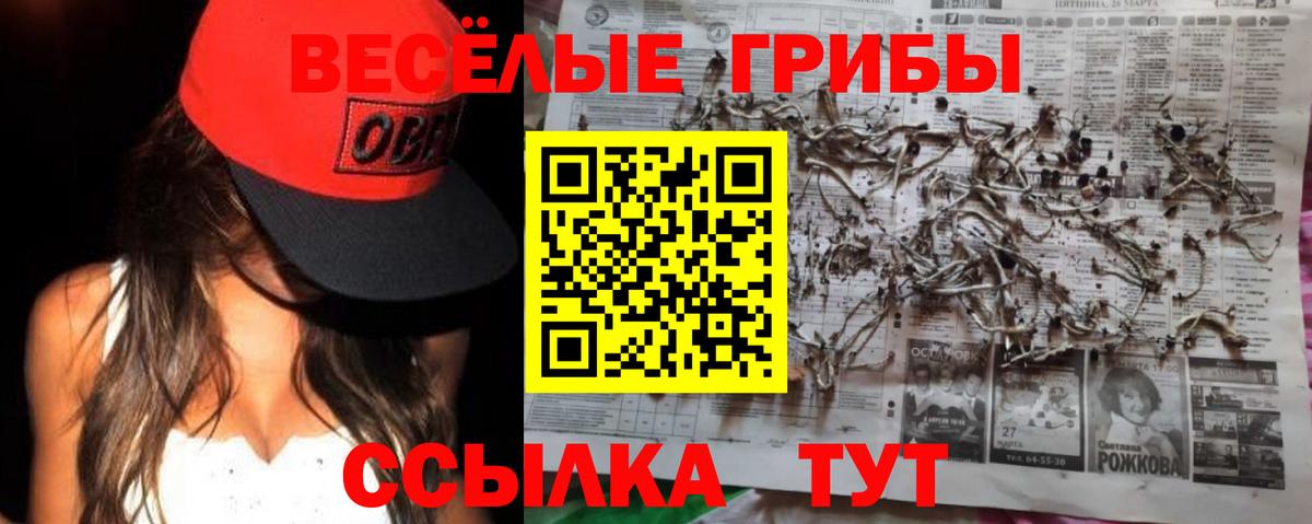 Псилоцибиновые грибы Psilocybine cubensis  где купить   Донецк  Вход с VPN 